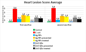Figure 7: