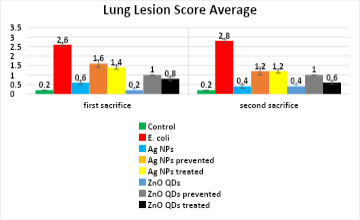 Figure 6: