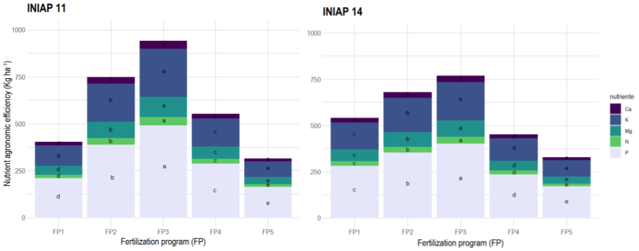 Figure 5: