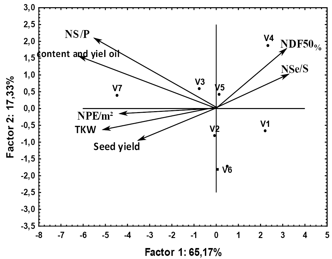 Figure 2: