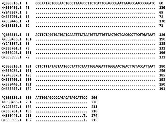 Figure 2: