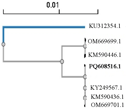 Figure 3: