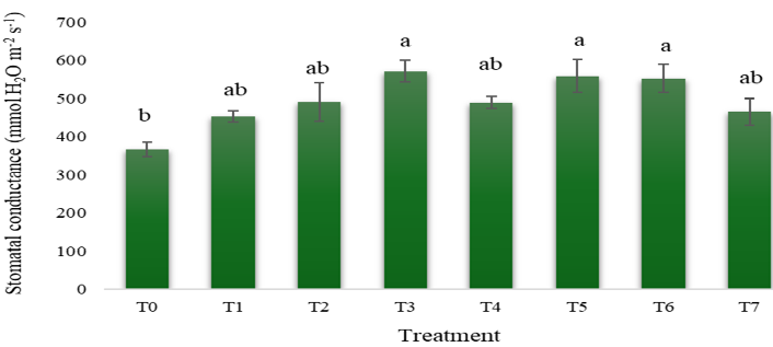 Figure 3: