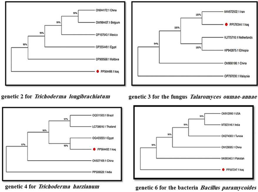 Figure 4:
