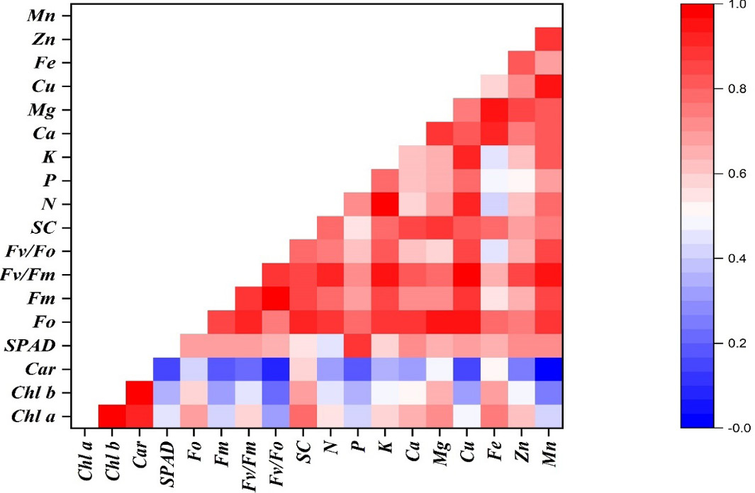 Figure 4: