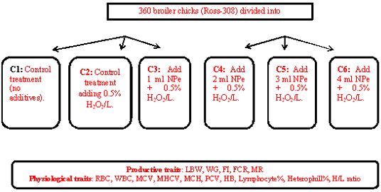 Figure 4: