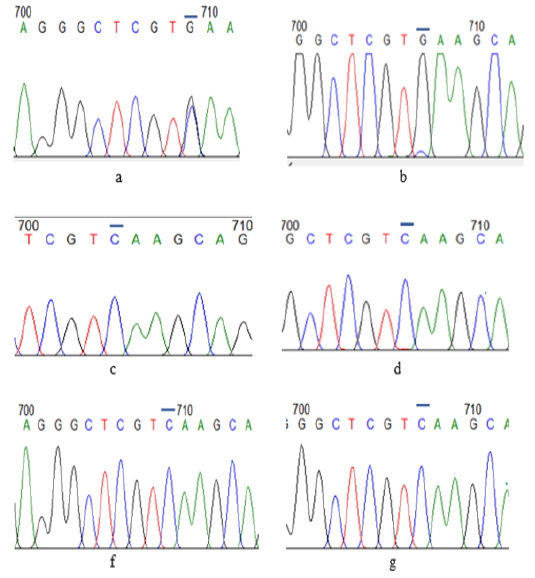 Figure 3: