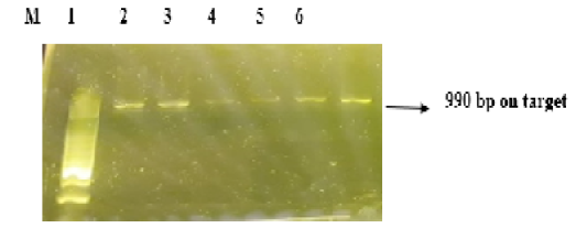 Figure 1:
