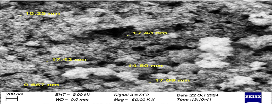 Figure 2: