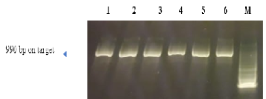 Figure 2: