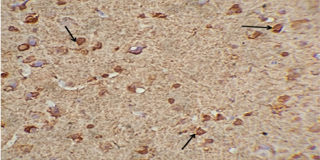 Figure 3: