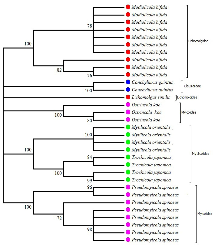Fig. 2.
