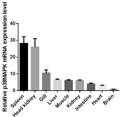 Fig. 4.