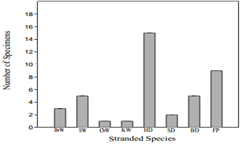 Fig. 10.