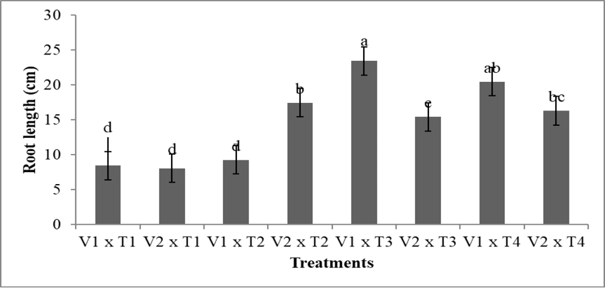 Figure 5: