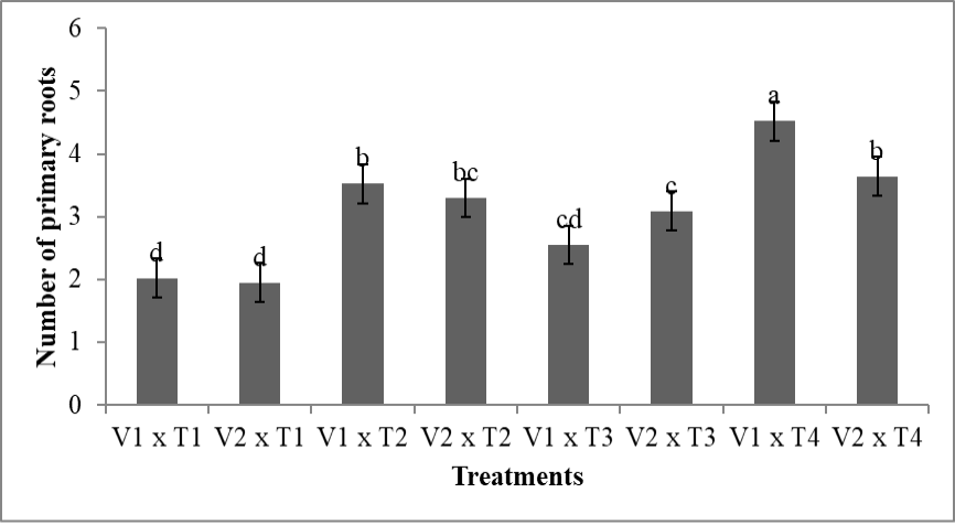 Figure 6: