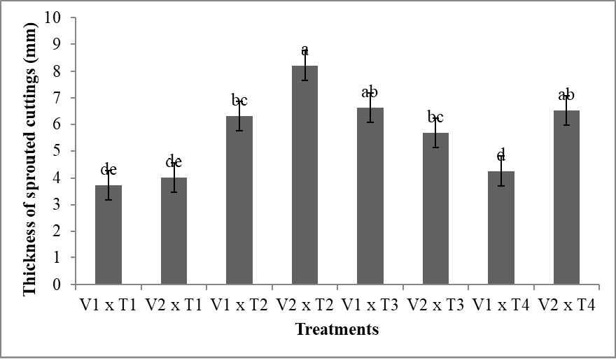 Figure 2:
