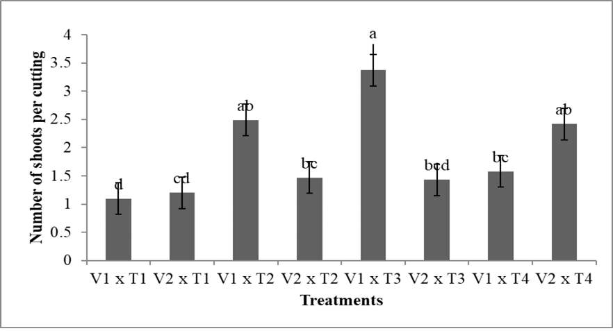 Figure 3: