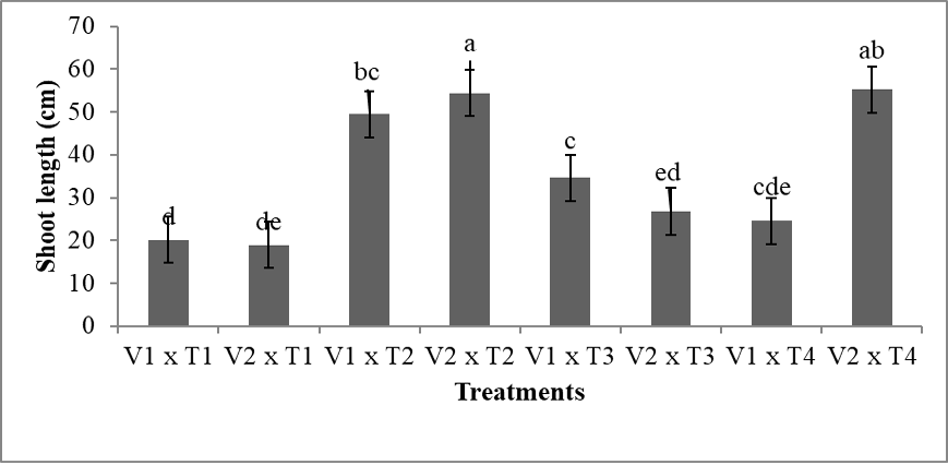 Figure 4: