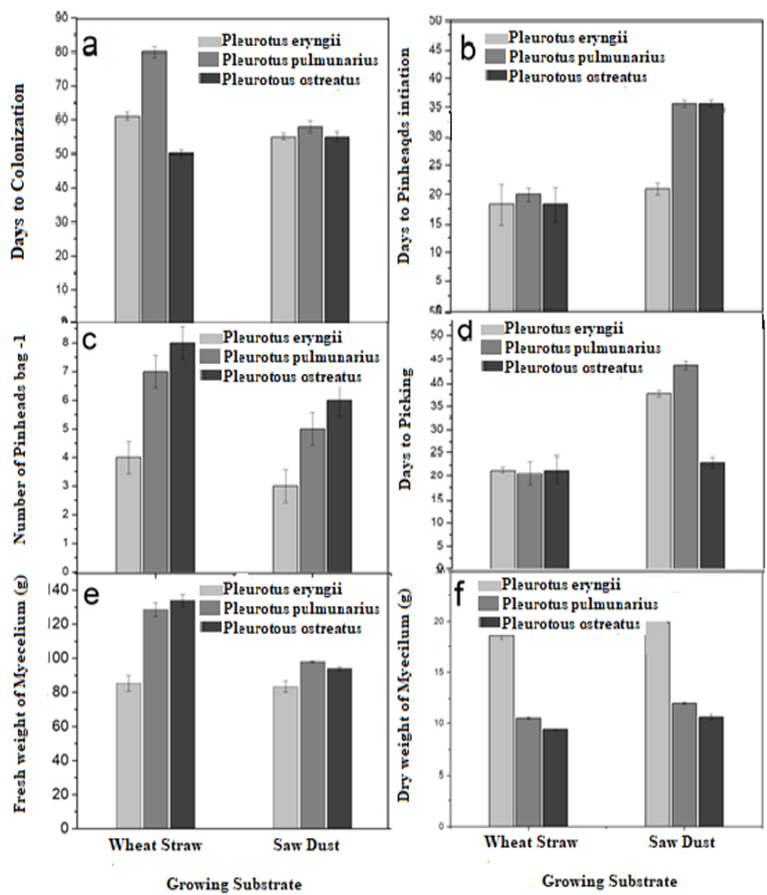 Figure 3: