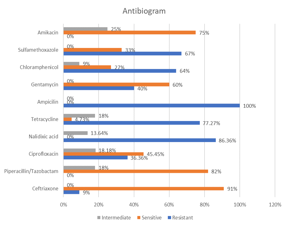 Figure 4: