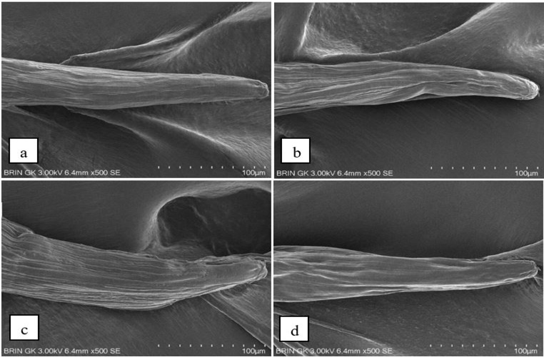 Figure 2: