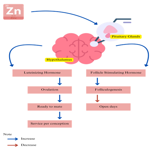 Figure 4: