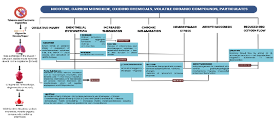 Diagram 1: