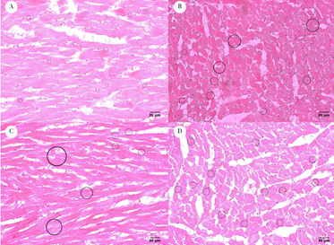Figure 4:
