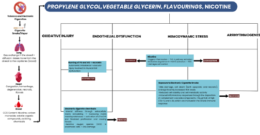 Diagram 2: