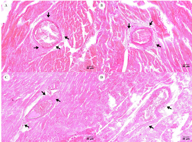 Figure 5: