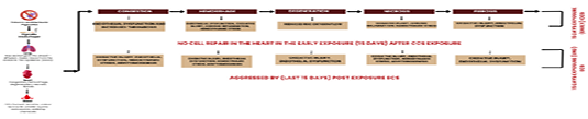 Diagram 3: