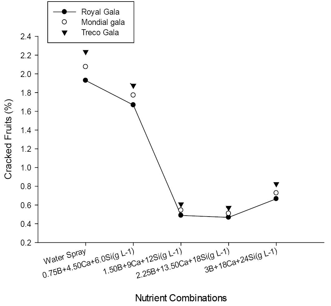 Figure 2: