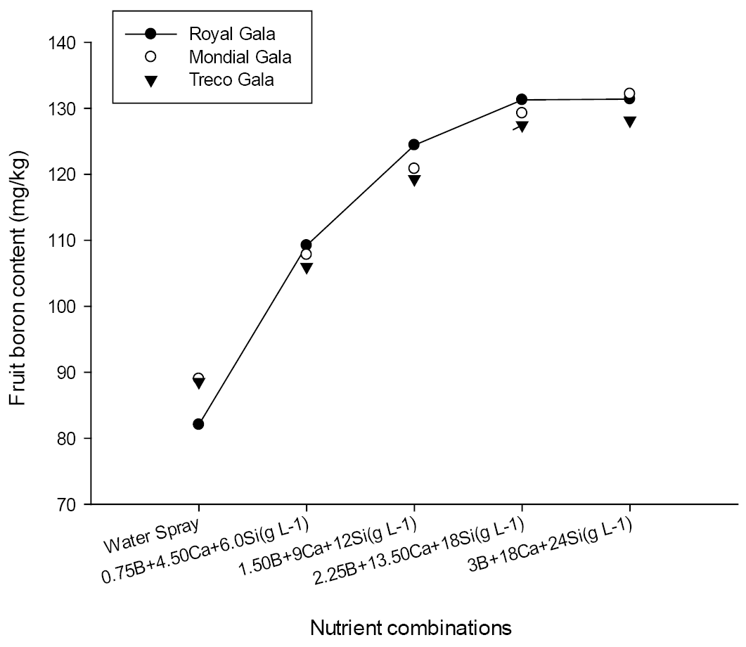 Figure 3: