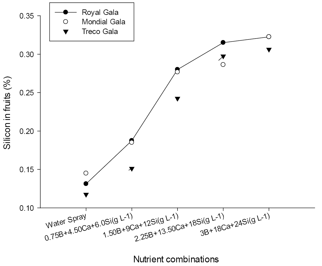 Figure 4: