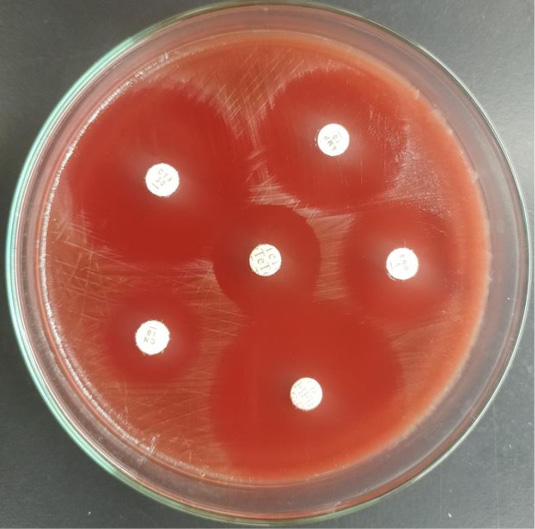 Figure 10: