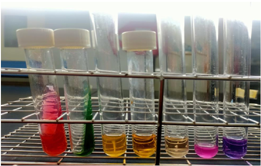 Figure 2: