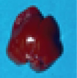 Figure 9:
