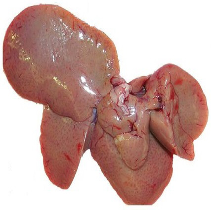 Figure 10: