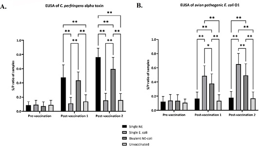 Figure 4: