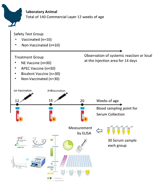Figure 1: