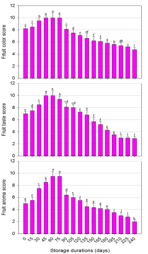 Figure 5: