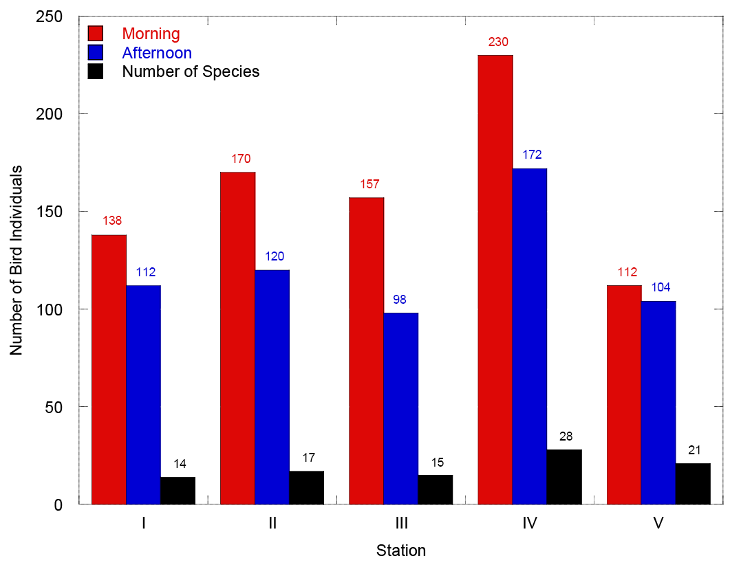 Figure 2: