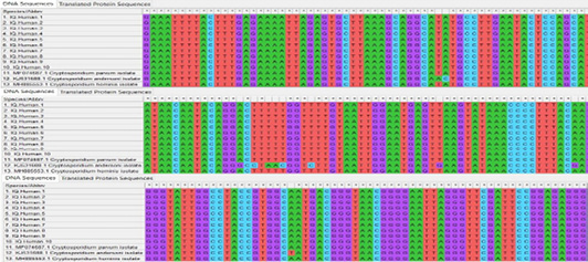 Figure 4: