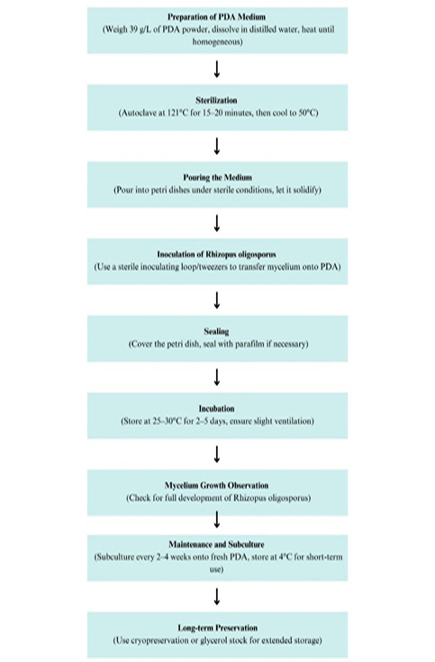 Figure 1: