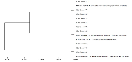 Figure 5:
