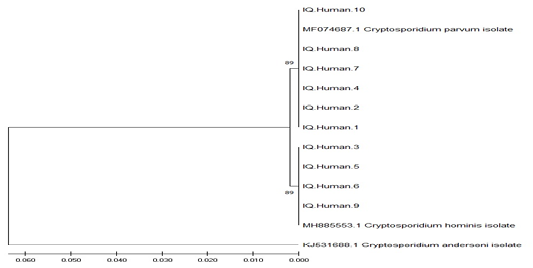 Figure 6: