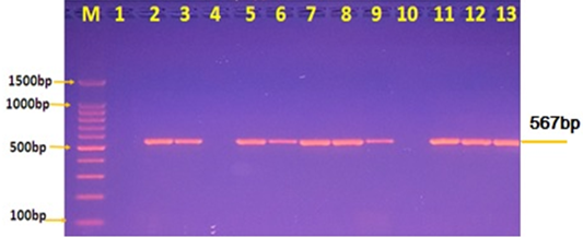 Figure 2: