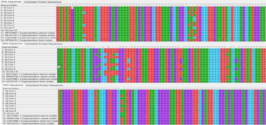 Figure 3: