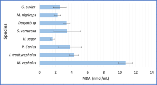 Figure 3:
